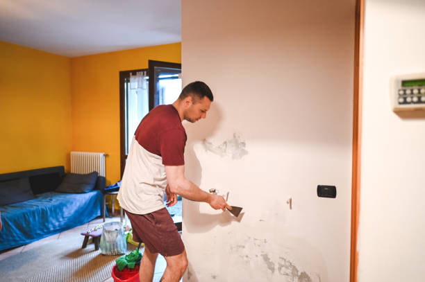 Certified Mold Removal in Springfield, MN